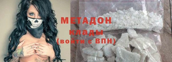 прущие грибы Богданович