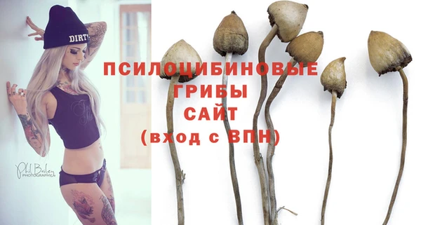 альфа пвп Богородицк