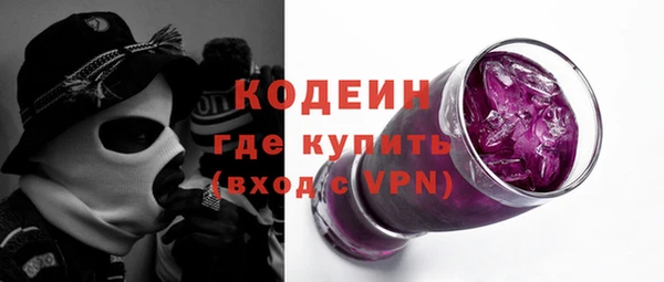 прущие грибы Богданович