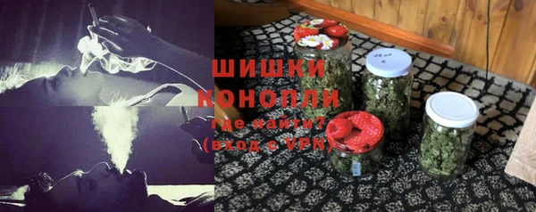 дмт Богородск