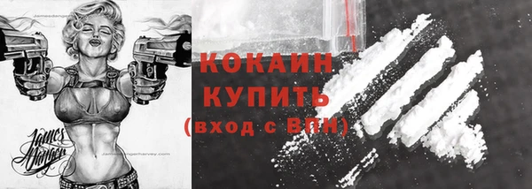 дмт Богородск